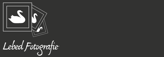 Lebed Fotografie